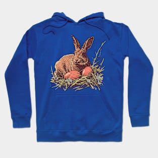 Easter bunny Hoodie